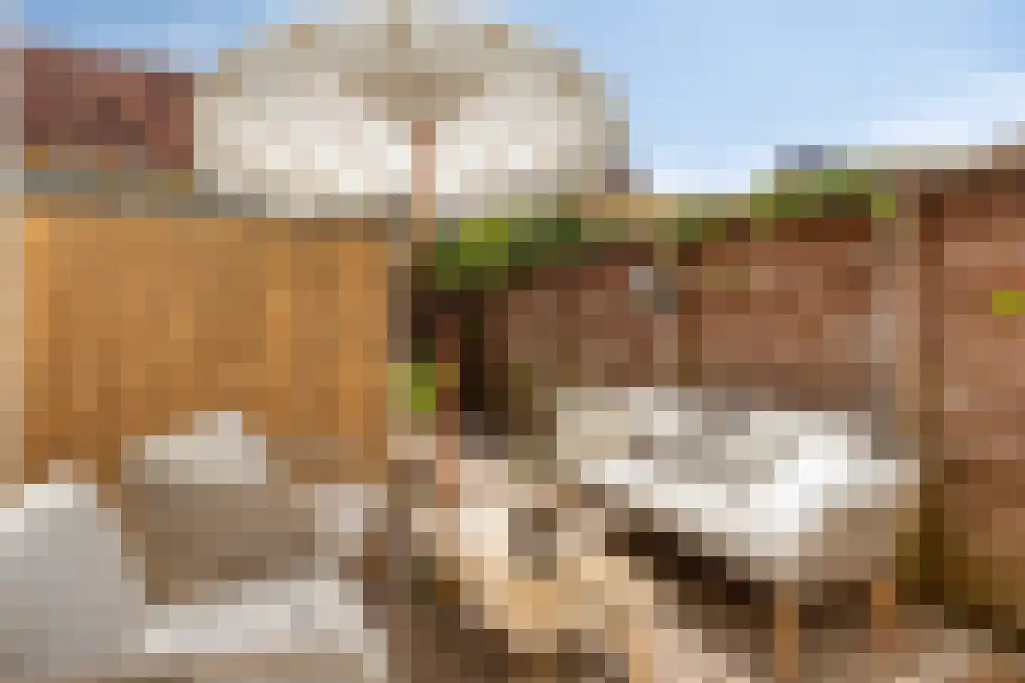 Lange Burchwal 29 Oudewater thumbnail 12
