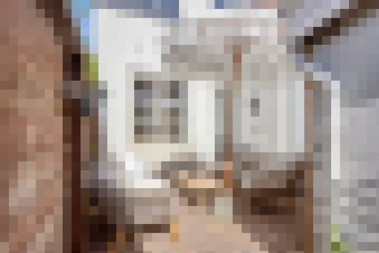 Lange Burchwal 29 Oudewater thumbnail 17