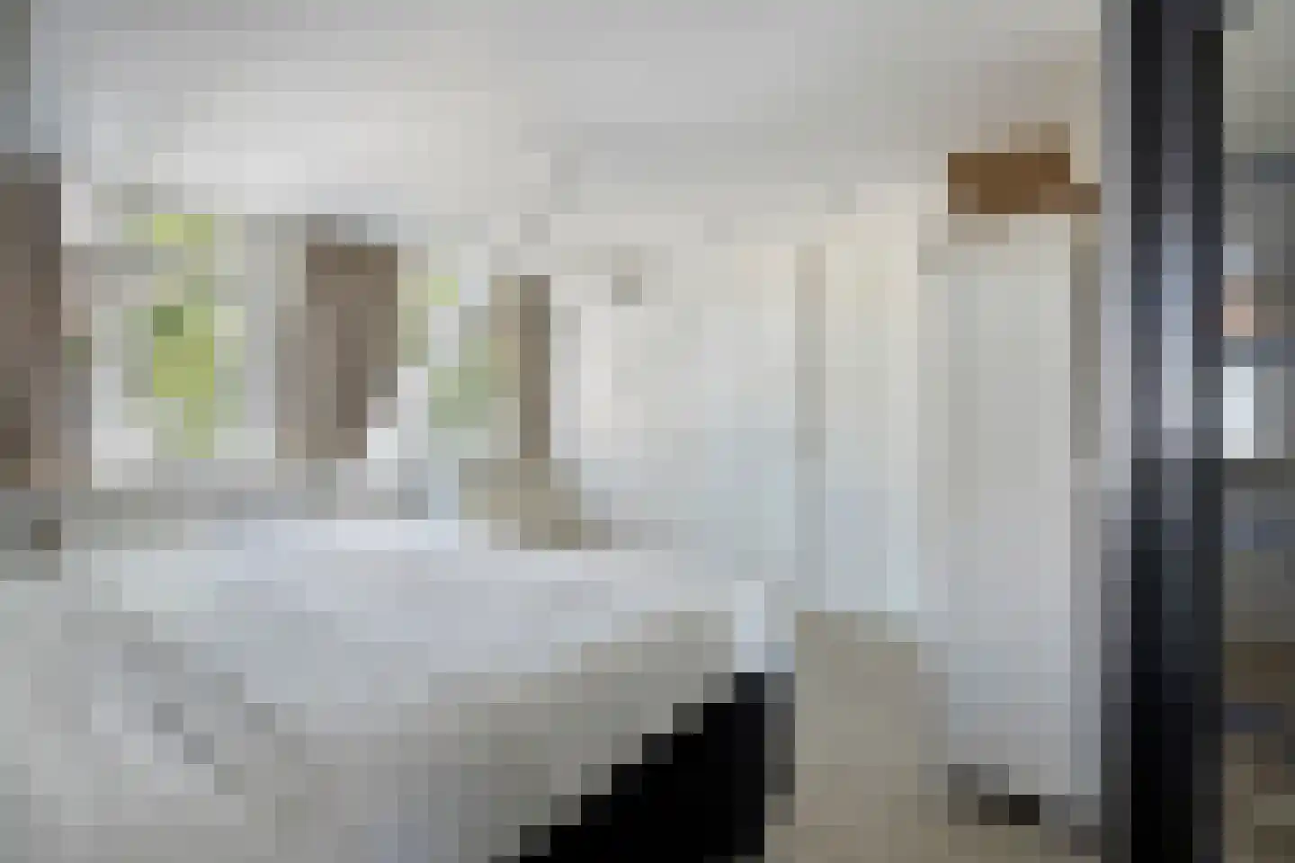 Lange Burchwal 29 Oudewater thumbnail 19