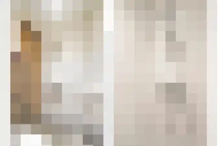Lange Burchwal 3 Oudewater thumbnail 13