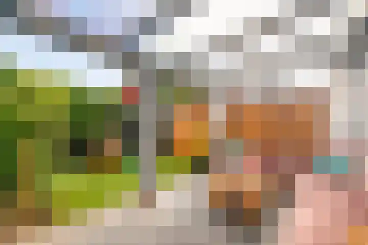 Lange Burchwal 3 Oudewater thumbnail 15