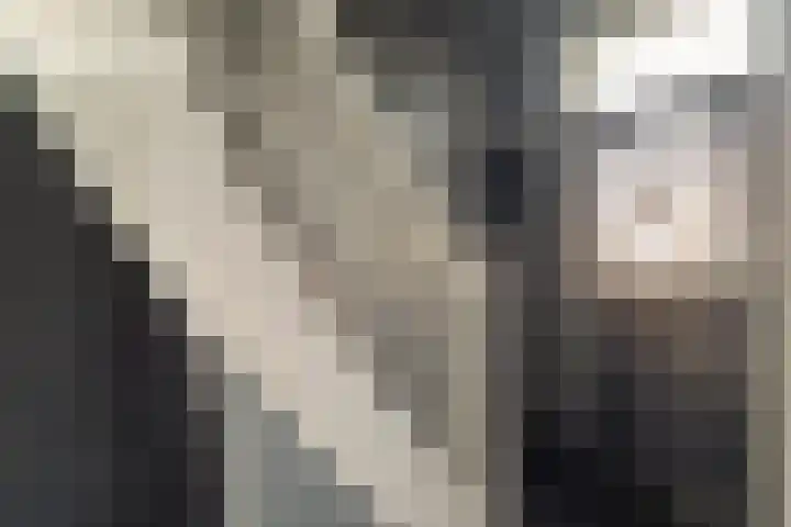 Lange Burchwal 3 Oudewater thumbnail 18