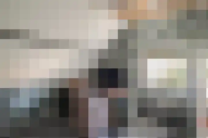 Lange Burchwal 3 Oudewater thumbnail 29