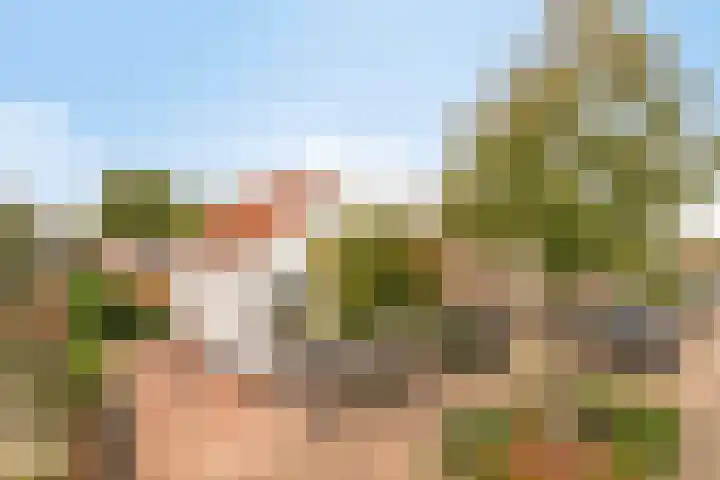 Lange Burchwal 3 Oudewater thumbnail 30