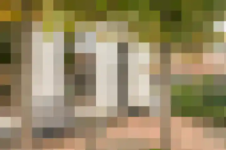 Lange Burchwal 3 Oudewater thumbnail 31