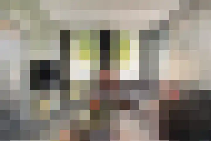 Lange Burchwal 3 Oudewater thumbnail 4