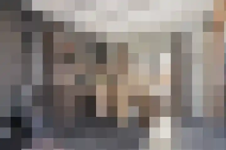 Lange Burchwal 3 Oudewater thumbnail 6