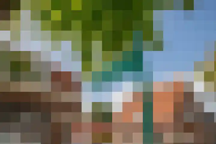 Lange Burchwal 37 Oudewater thumbnail 36
