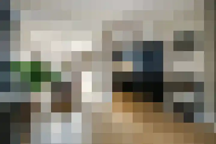 Lange Burchwal 37 Oudewater thumbnail 7
