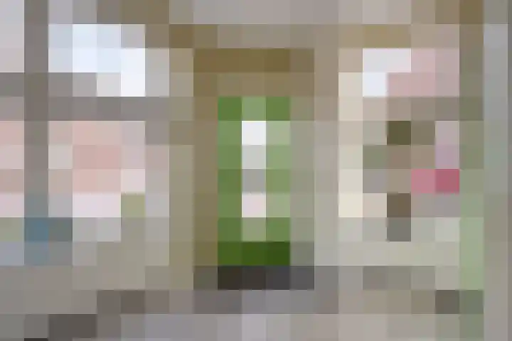 Lange Burchwal 47 Oudewater thumbnail 18