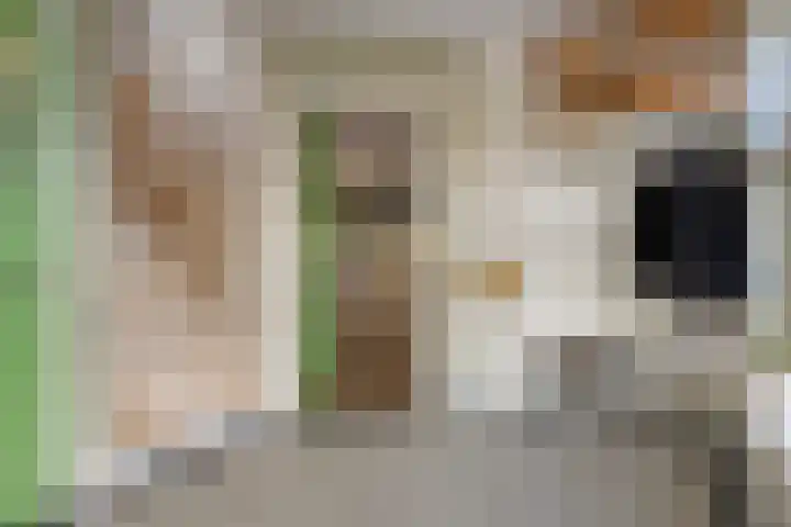 Lange Burchwal 47 Oudewater thumbnail 21