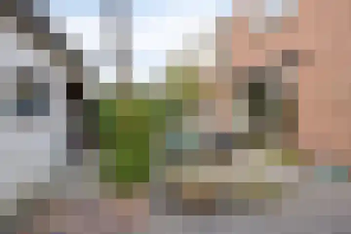 Lange Burchwal 47 Oudewater thumbnail 37