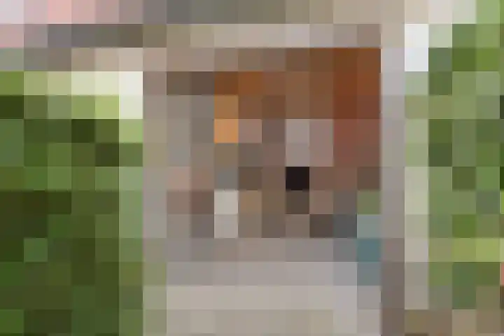 Lange Burchwal 47 Oudewater thumbnail 38