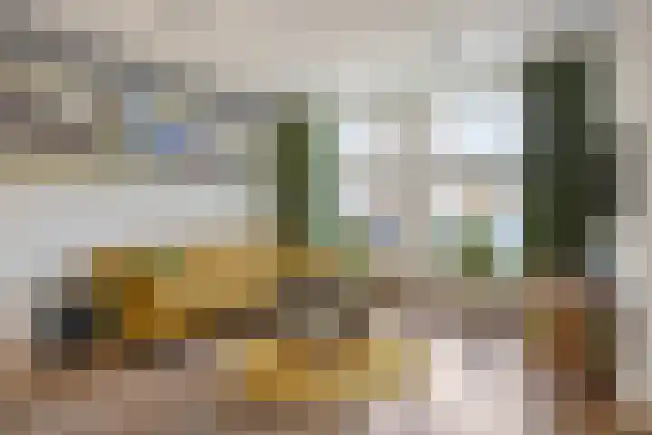 Lange Burchwal 47 Oudewater thumbnail 6