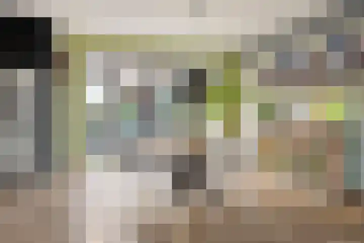 Lange Burchwal 47 Oudewater thumbnail 7