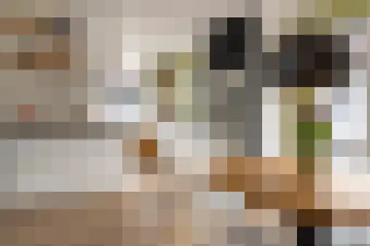 Lange Burchwal 47 Oudewater thumbnail 8