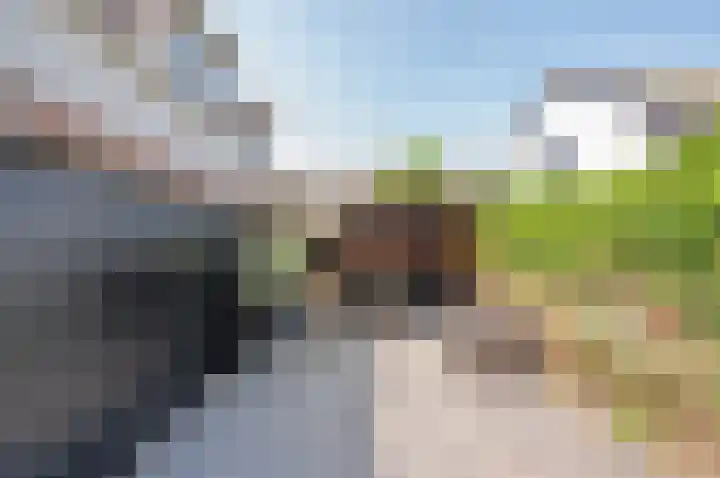 Lange Burchwal 63 Oudewater thumbnail 13
