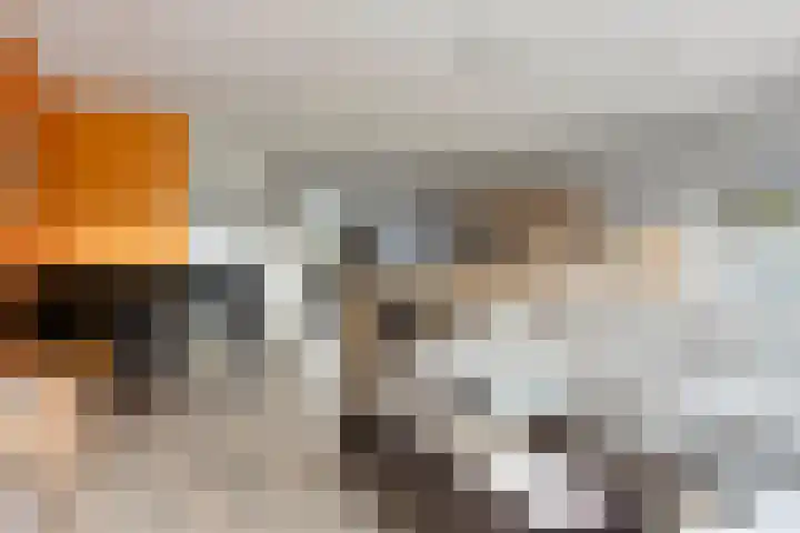 Lange Campen 32 Pijnacker thumbnail 10