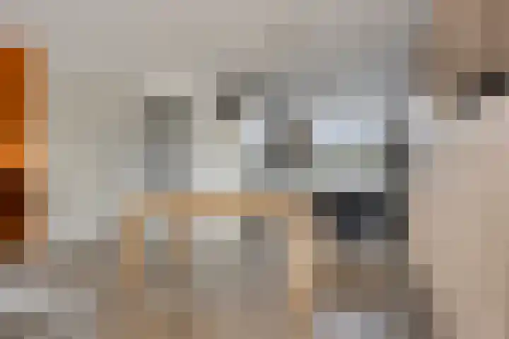 Lange Campen 32 Pijnacker thumbnail 11