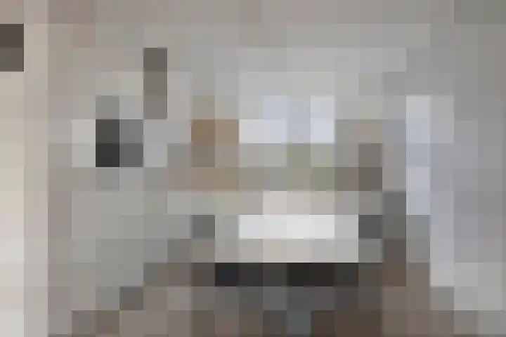 Lange Campen 32 Pijnacker thumbnail 12