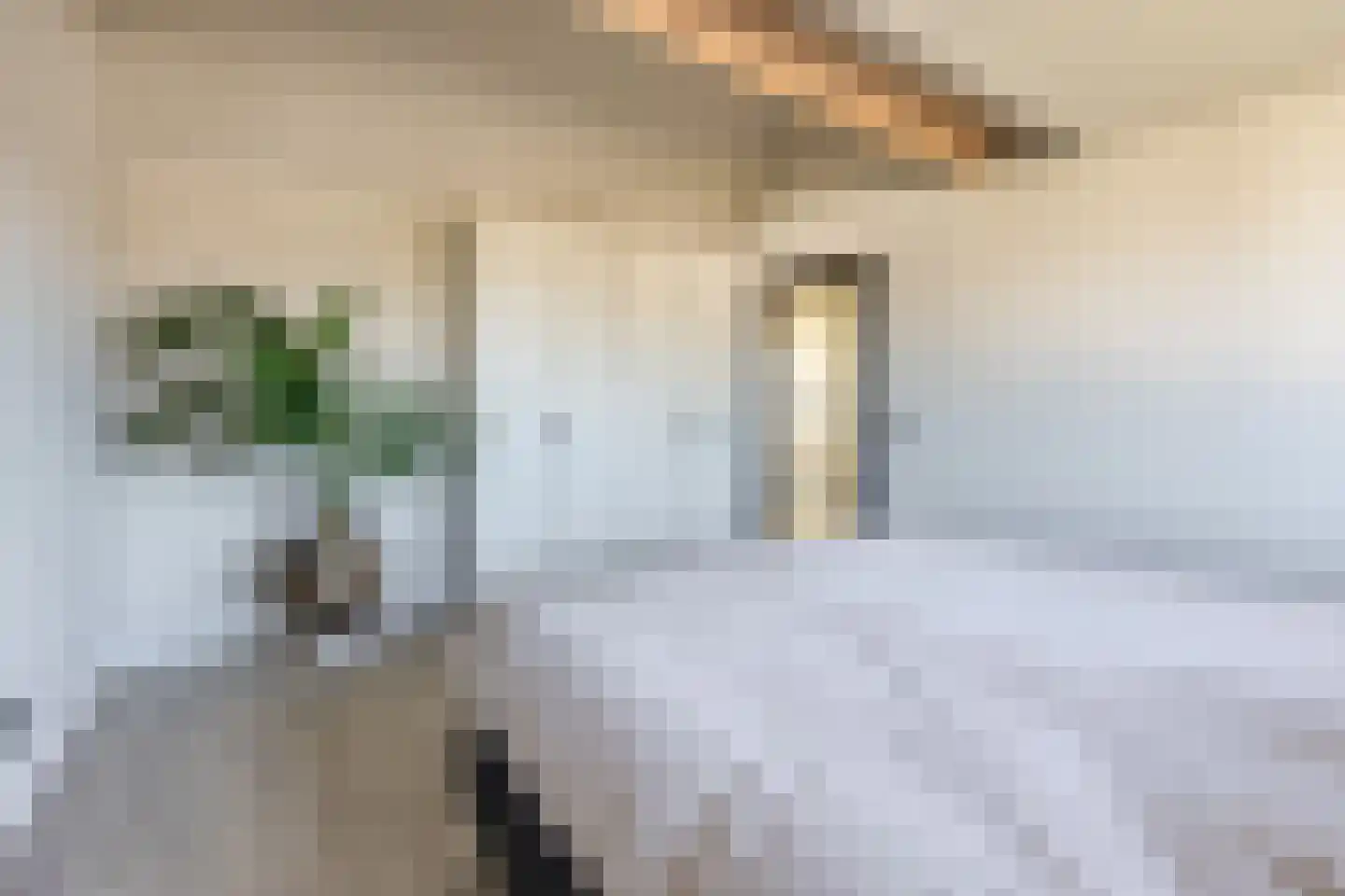Lange Campen 34 Pijnacker thumbnail 29