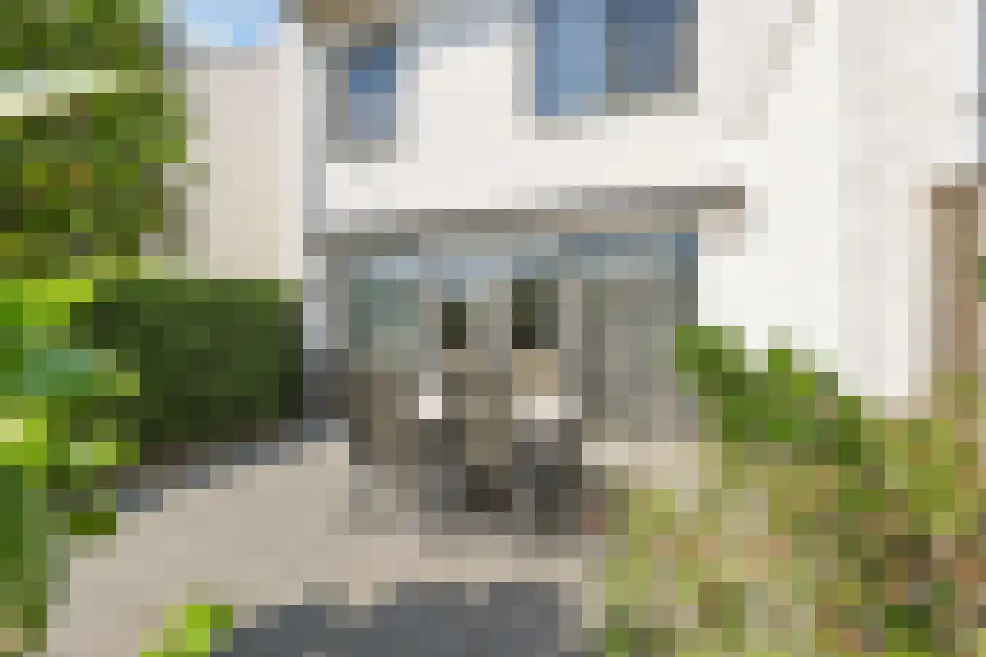 Lange Campen 56 Pijnacker thumbnail 38