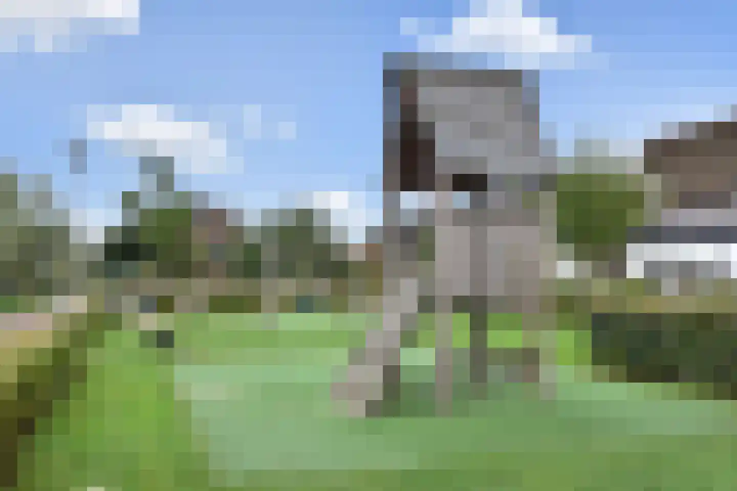 Lange Campen 56 Pijnacker thumbnail 45