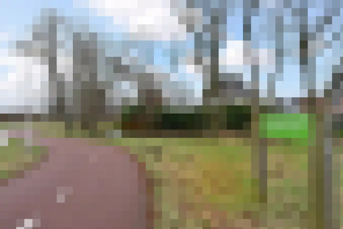 Lange Campen 56 Pijnacker thumbnail 47