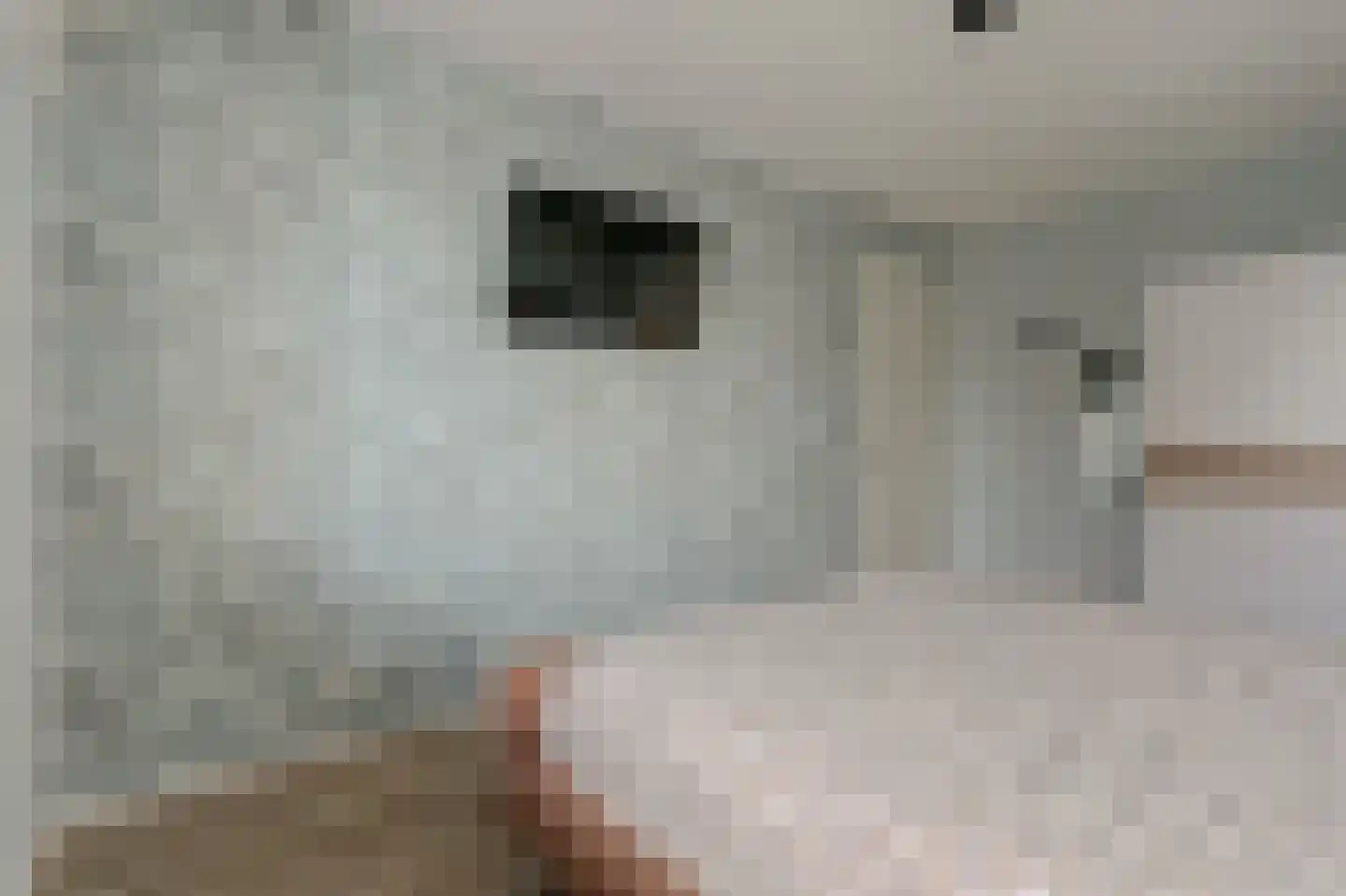 Lange Campen 92 Pijnacker thumbnail 33
