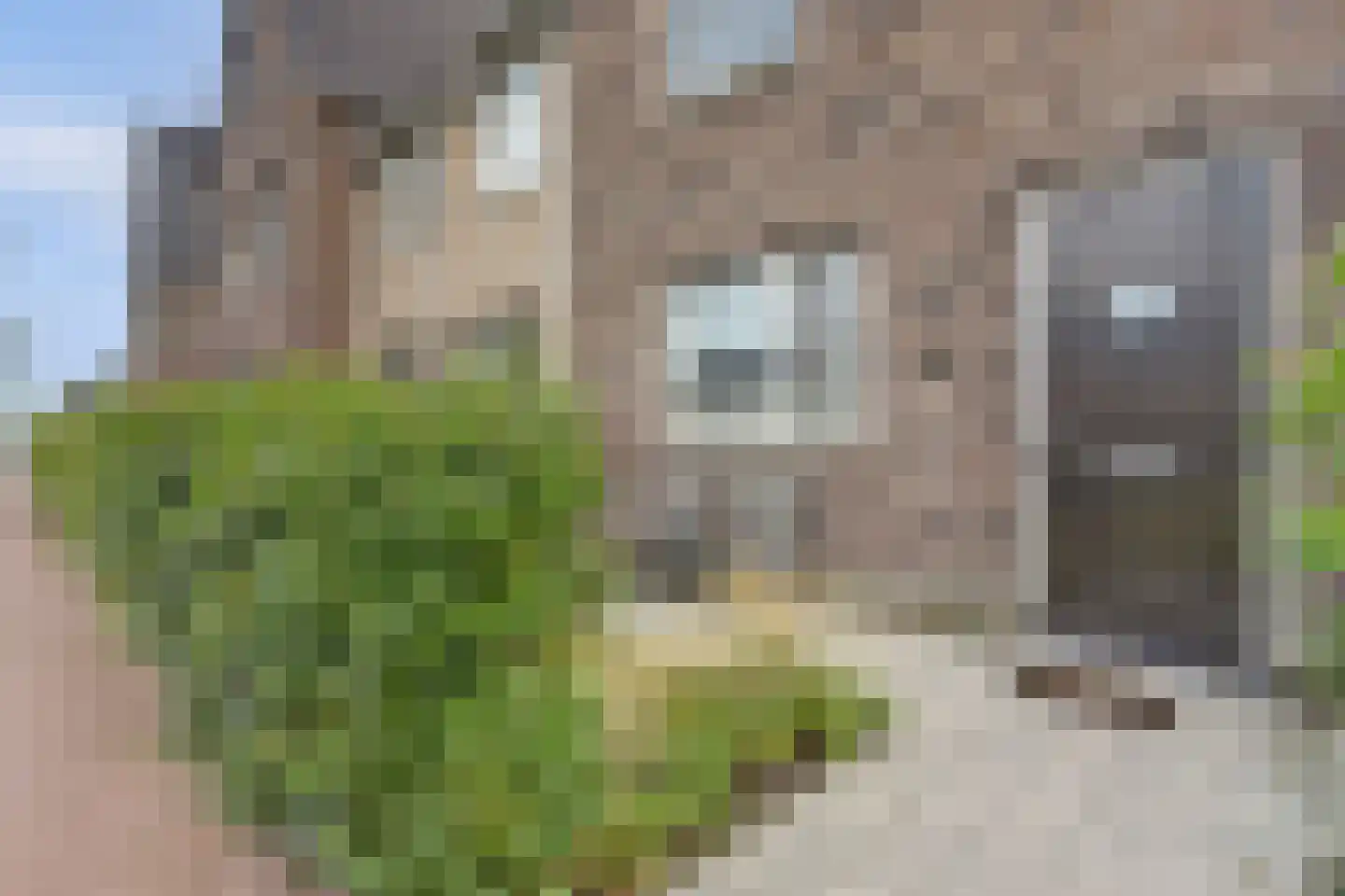Lange Campen 92 Pijnacker thumbnail 6