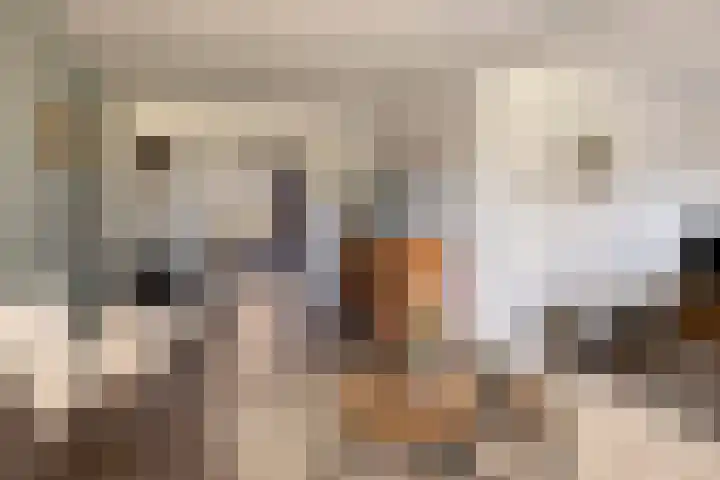 Lange Dam 40 Urk thumbnail 12