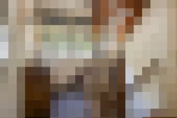 Lange Dam 40 Urk thumbnail 15