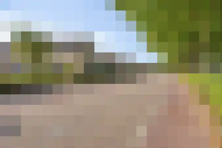 Lange Dam 40 Urk thumbnail 20
