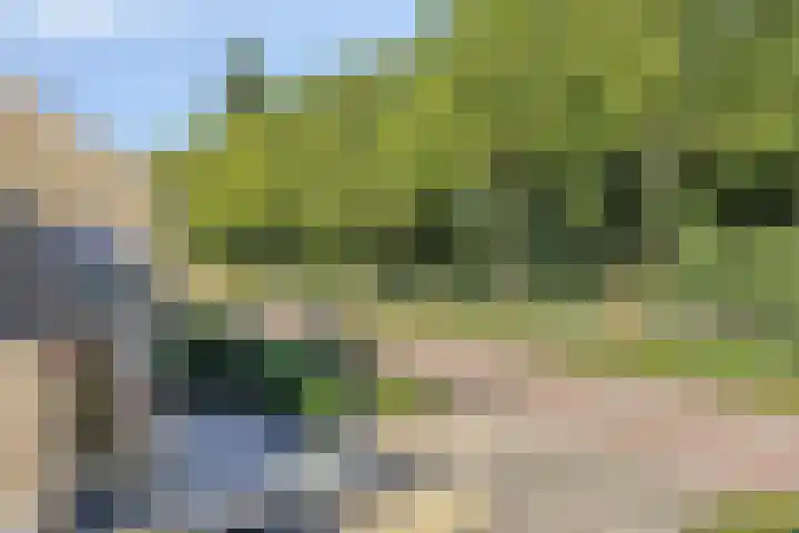 Lange Dam 40 Urk thumbnail 22