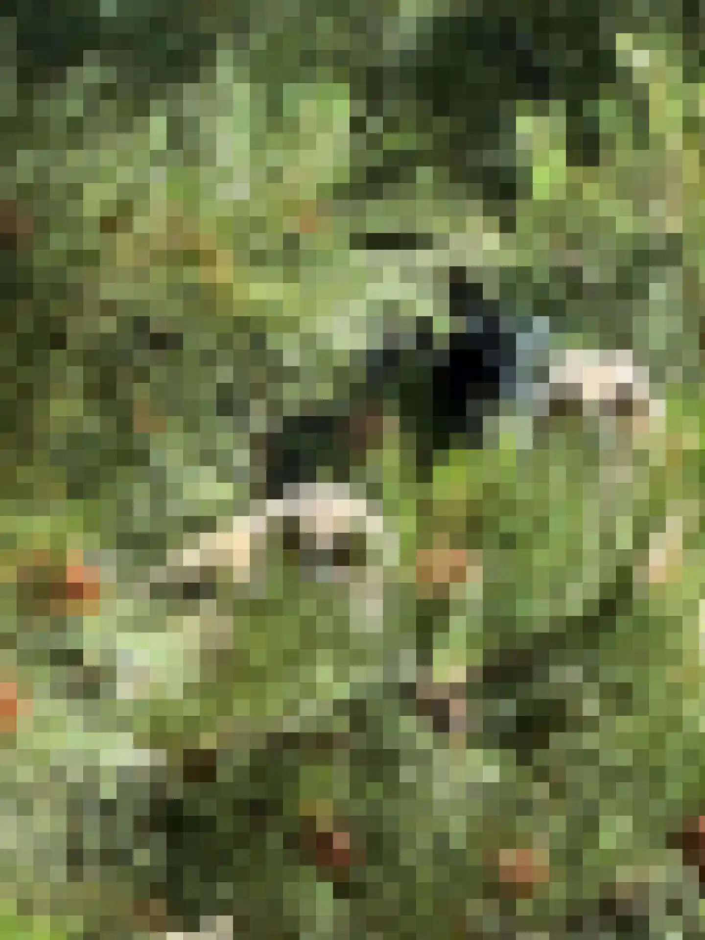 Lange Deelelaan 2 Andijk thumbnail 33
