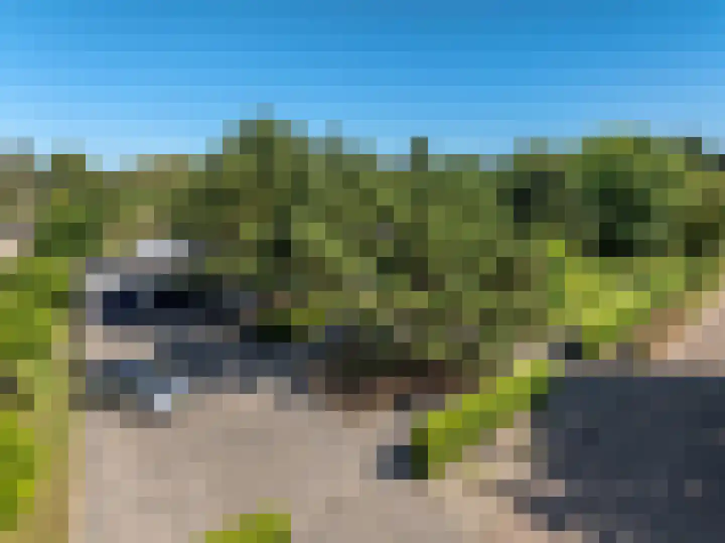 Lange Deelelaan 2 Andijk thumbnail 37