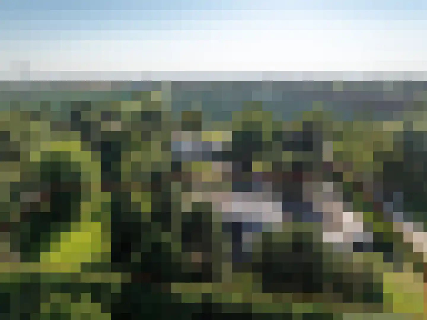 Lange Deelelaan 2 Andijk thumbnail 38