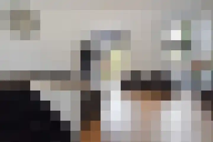 Lange Dreef 134 Rijswijk thumbnail 10