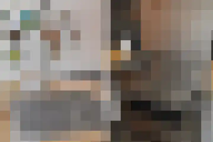 Lange Dreef 134 Rijswijk thumbnail 18