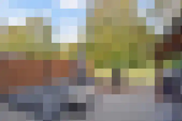 Lange Dreef 134 Rijswijk thumbnail 24