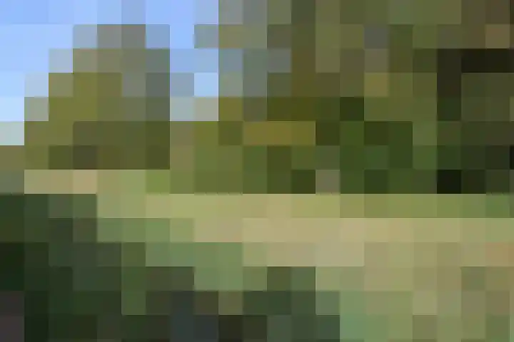 Lange Dreef 134 Rijswijk thumbnail 25