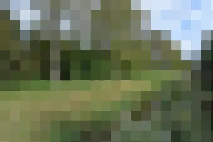 Lange Dreef 134 Rijswijk thumbnail 26