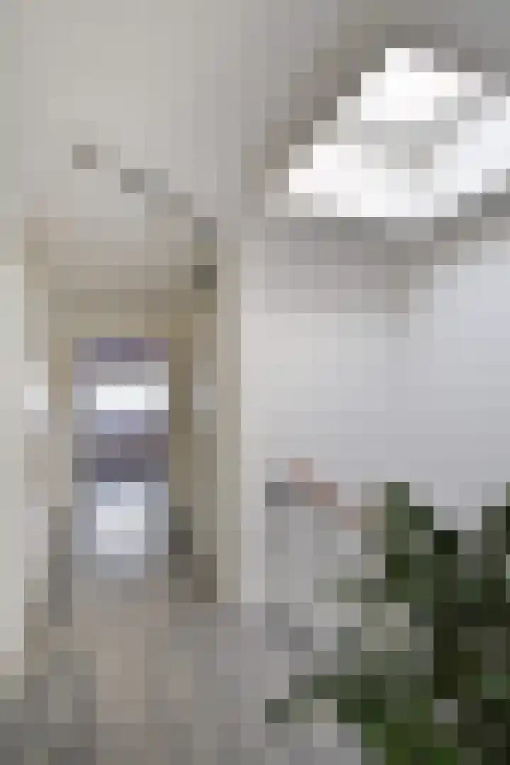 Lange Dreef 134 Rijswijk thumbnail 30