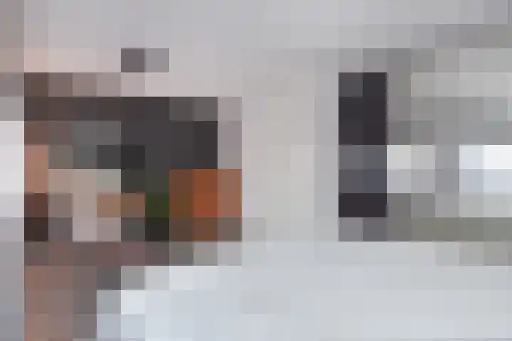Lange Dreef 134 Rijswijk thumbnail 33