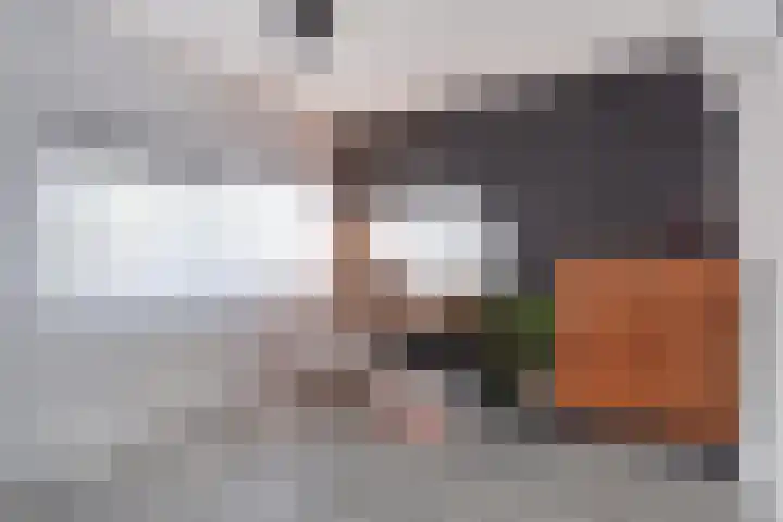 Lange Dreef 134 Rijswijk thumbnail 34