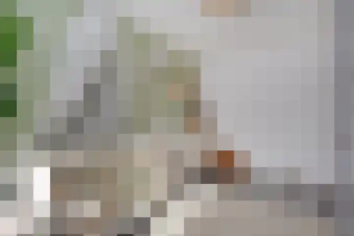 Lange Dreef 134 Rijswijk thumbnail 36