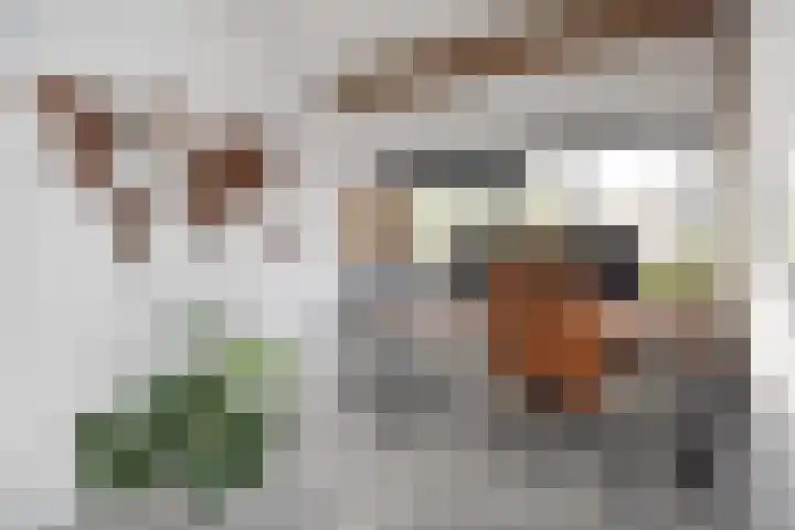 Lange Dreef 134 Rijswijk thumbnail 39