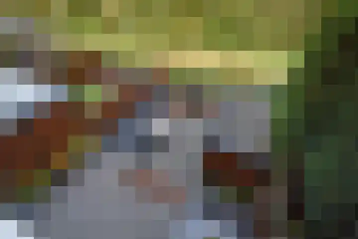 Lange Dreef 134 Rijswijk thumbnail 4