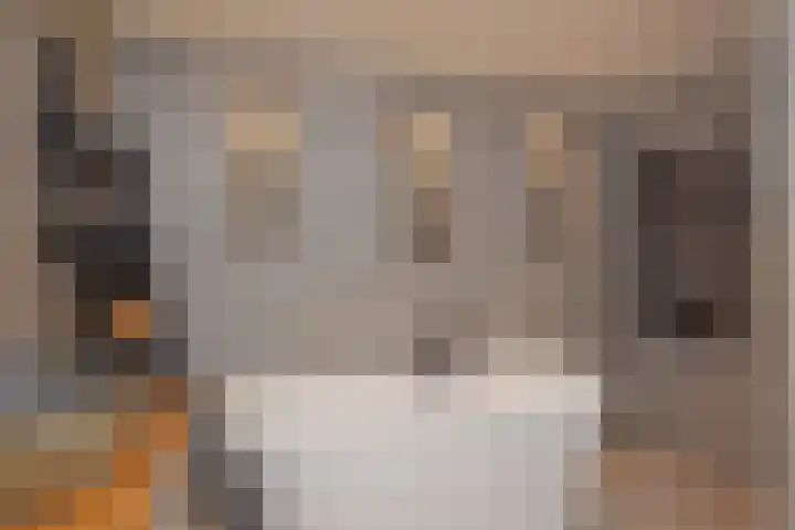 Lange Dreef 134 Rijswijk thumbnail 41