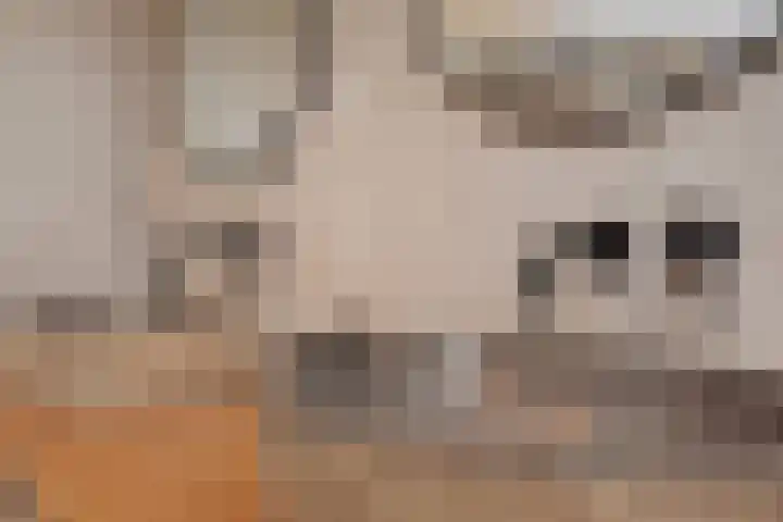 Lange Dreef 134 Rijswijk thumbnail 44